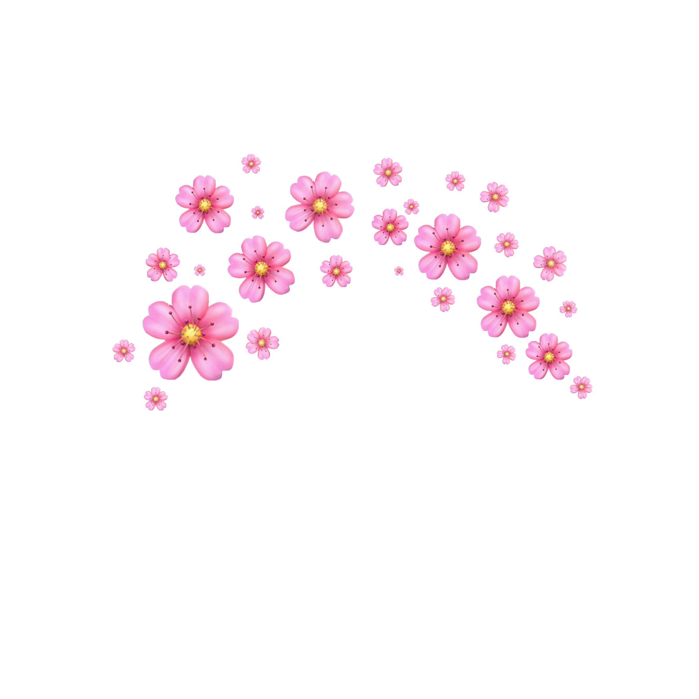 Fleur Couronne Couronnedefleurs Sticker By Candinosaure