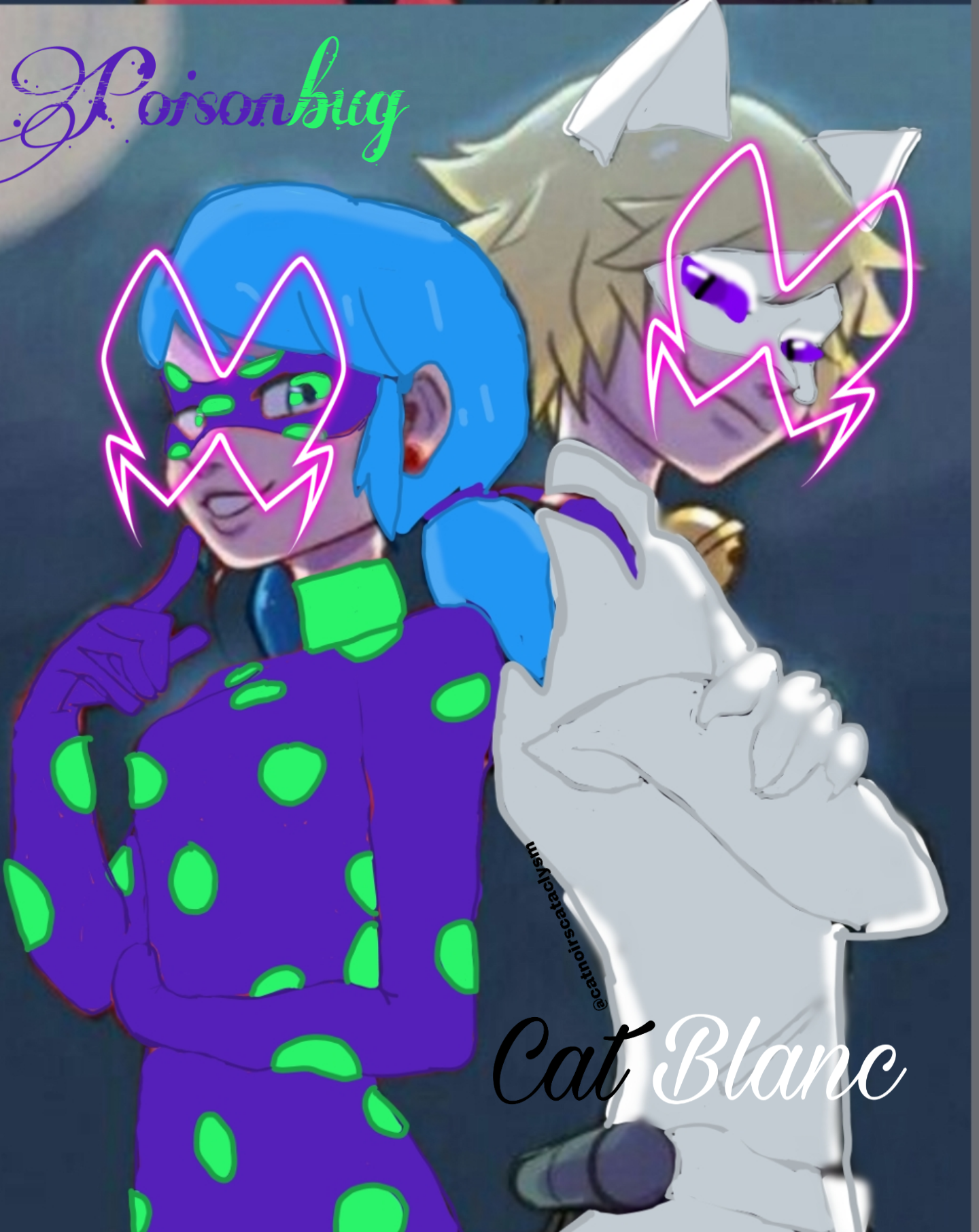 Miraculous Ladybug Catnoir Poisonbug Catblanc Akumatize