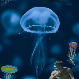 freetoedit ircjellyfish jellyfish