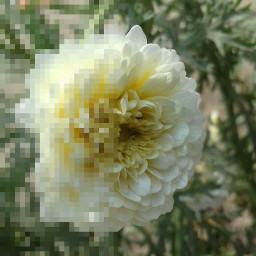 freetoedit ecpixeleffect pixeleffect flower pixeled pixy