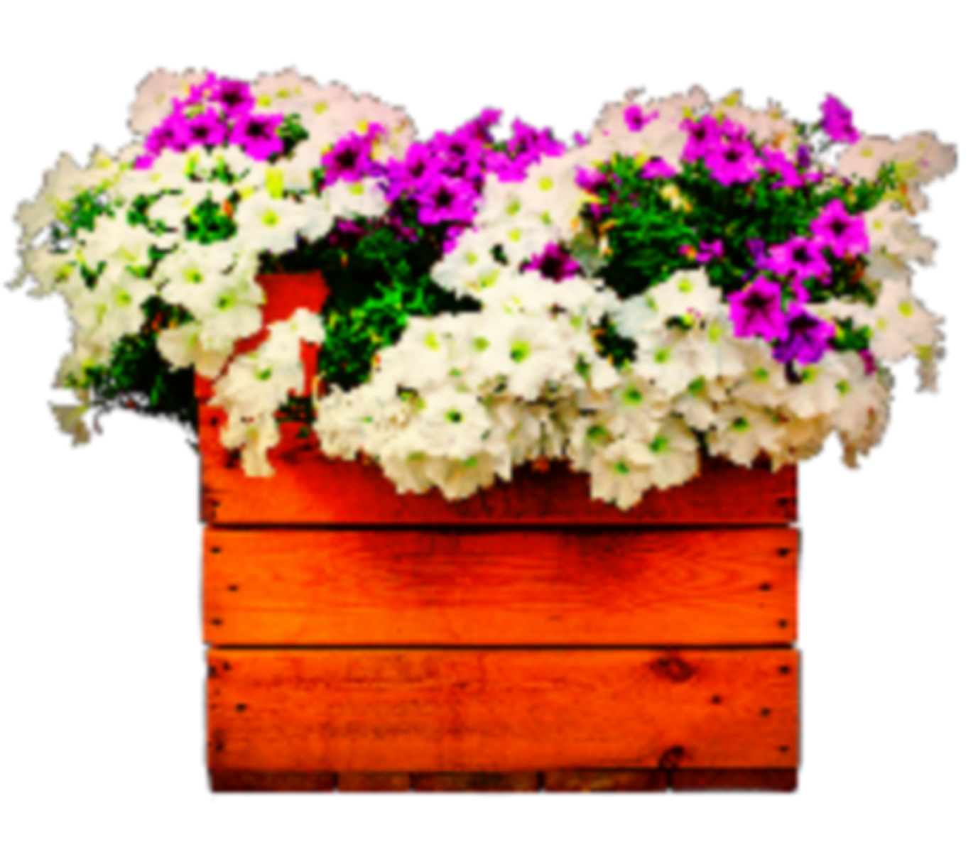 flowers box planter purple white sticker by absarokajo
