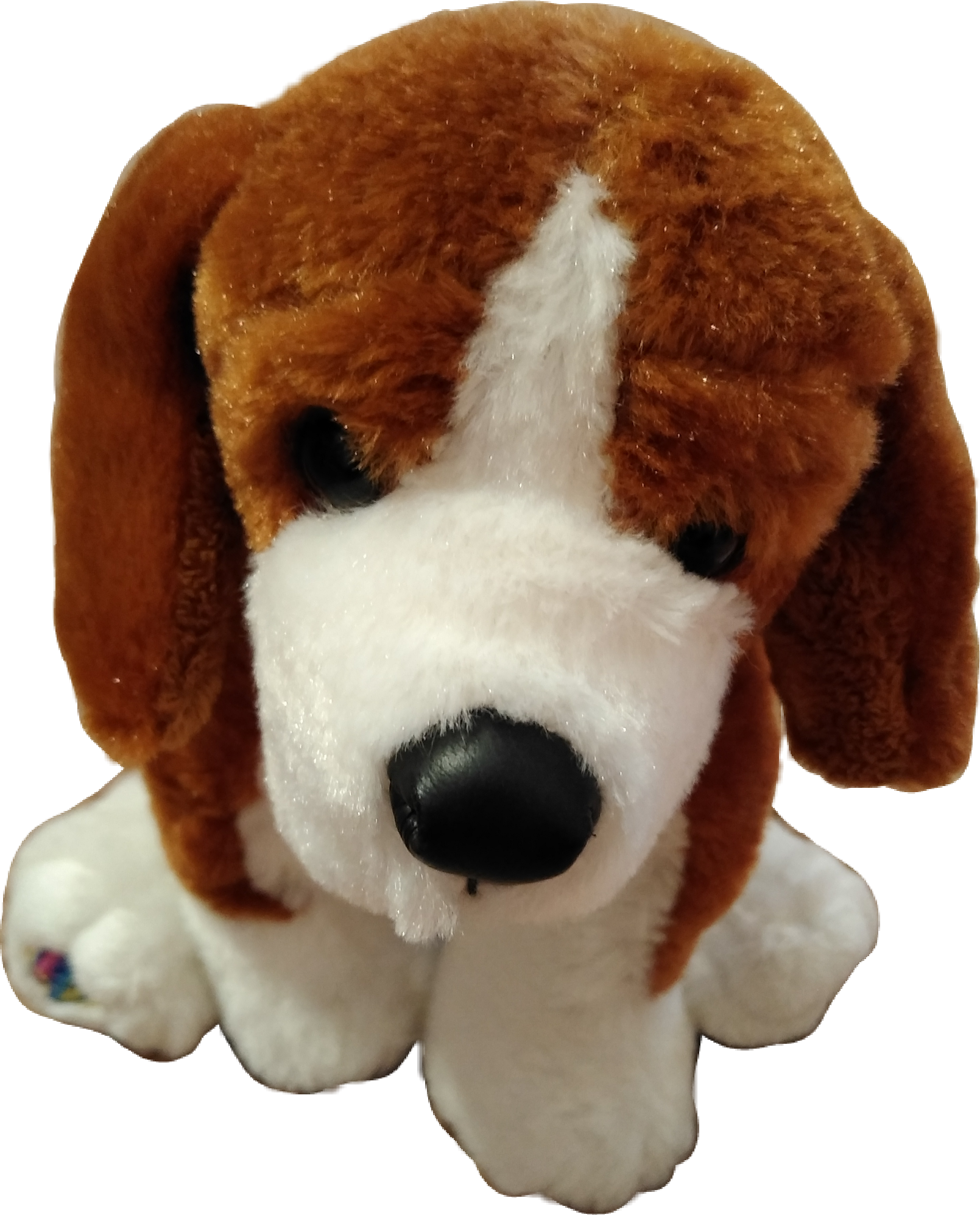 webkinz beagle