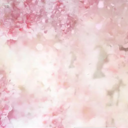 freetoedit beautiful pink floral pinkflower