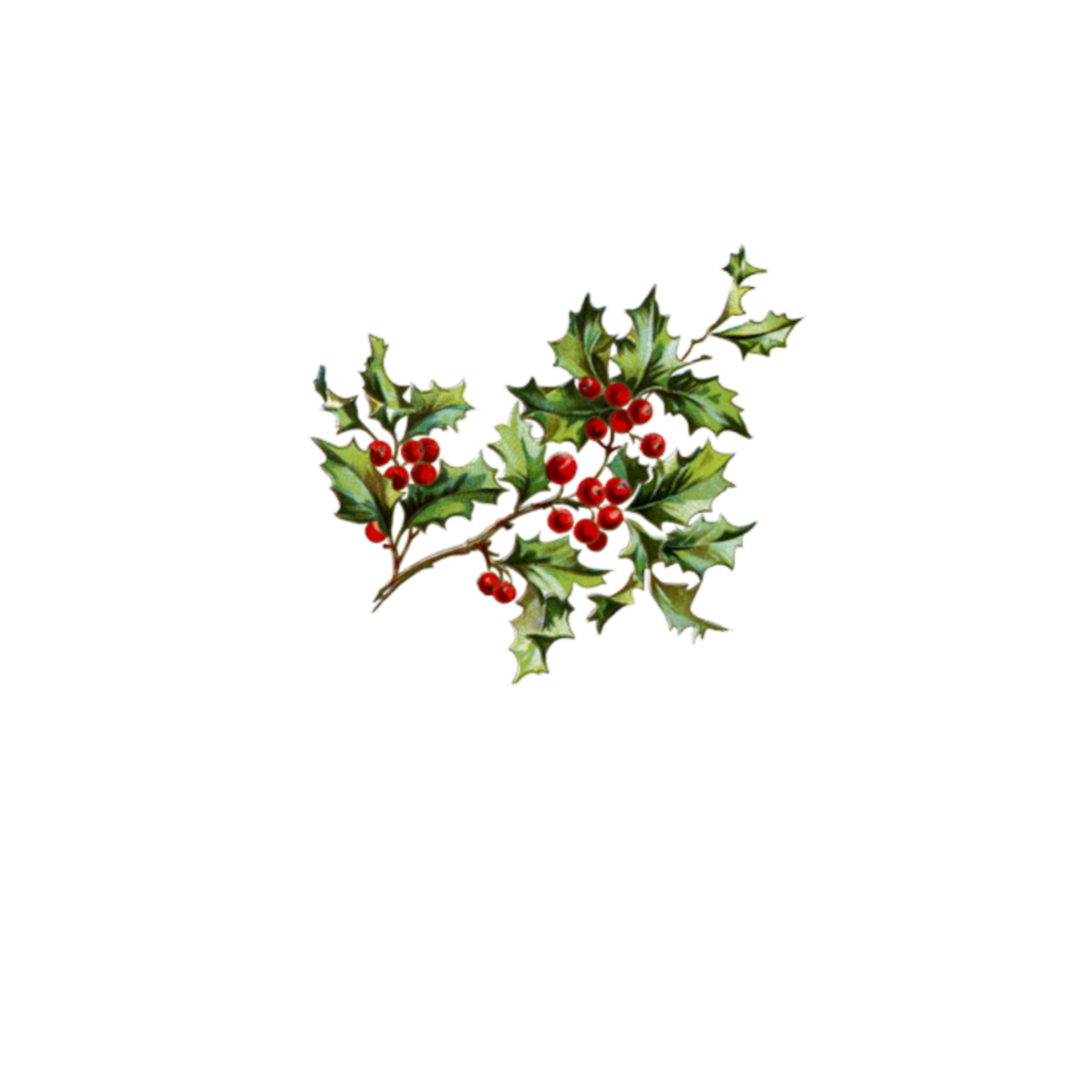 christmas merrychristmas navidad muerdago mistletoe art...