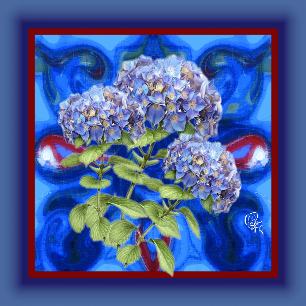 Blue hydrangea in abstract