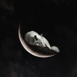 wolf moon moonlight withpicsart freetoedit