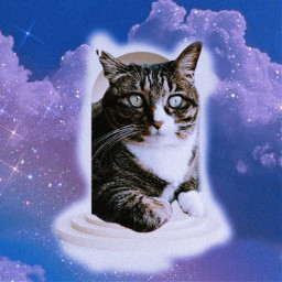lilchan dreamyclouds catgirl catsofpicsart freetoedit ircthroughthearch throughthearch