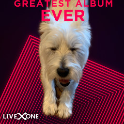freetoedit mydoggy rcliveonexpicsart liveonexpicsart #liveonexpicsart #liveone #greatestalbumever