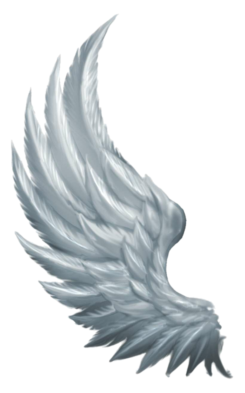 Angelwings Angel Angelic Wings Sticker By Sage Of Azarath