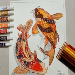 drawing japanesefish acrylic_painting fabercastell pencils freetoedit