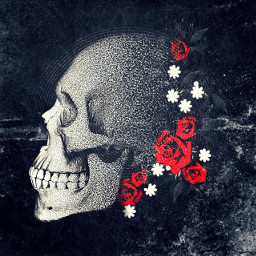 freetoedit originalart artwork skull bones