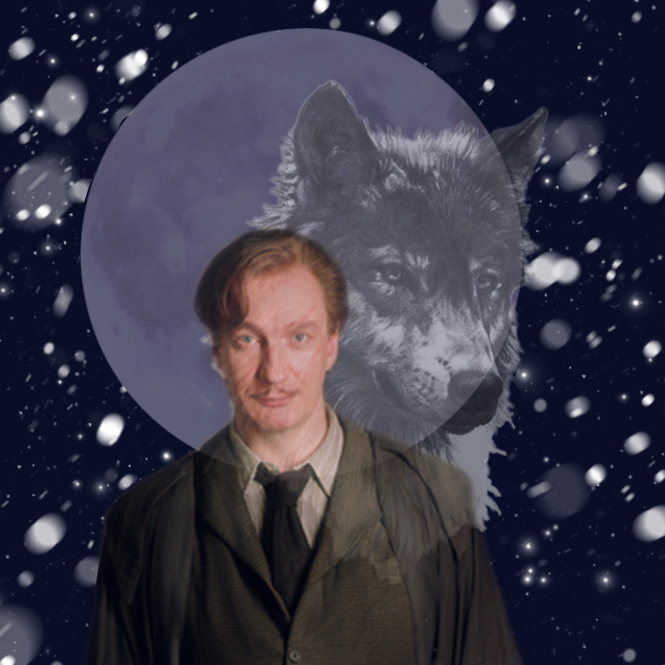 Remus lupin. Профессор Римус Люпин. Римус Люпин волк.