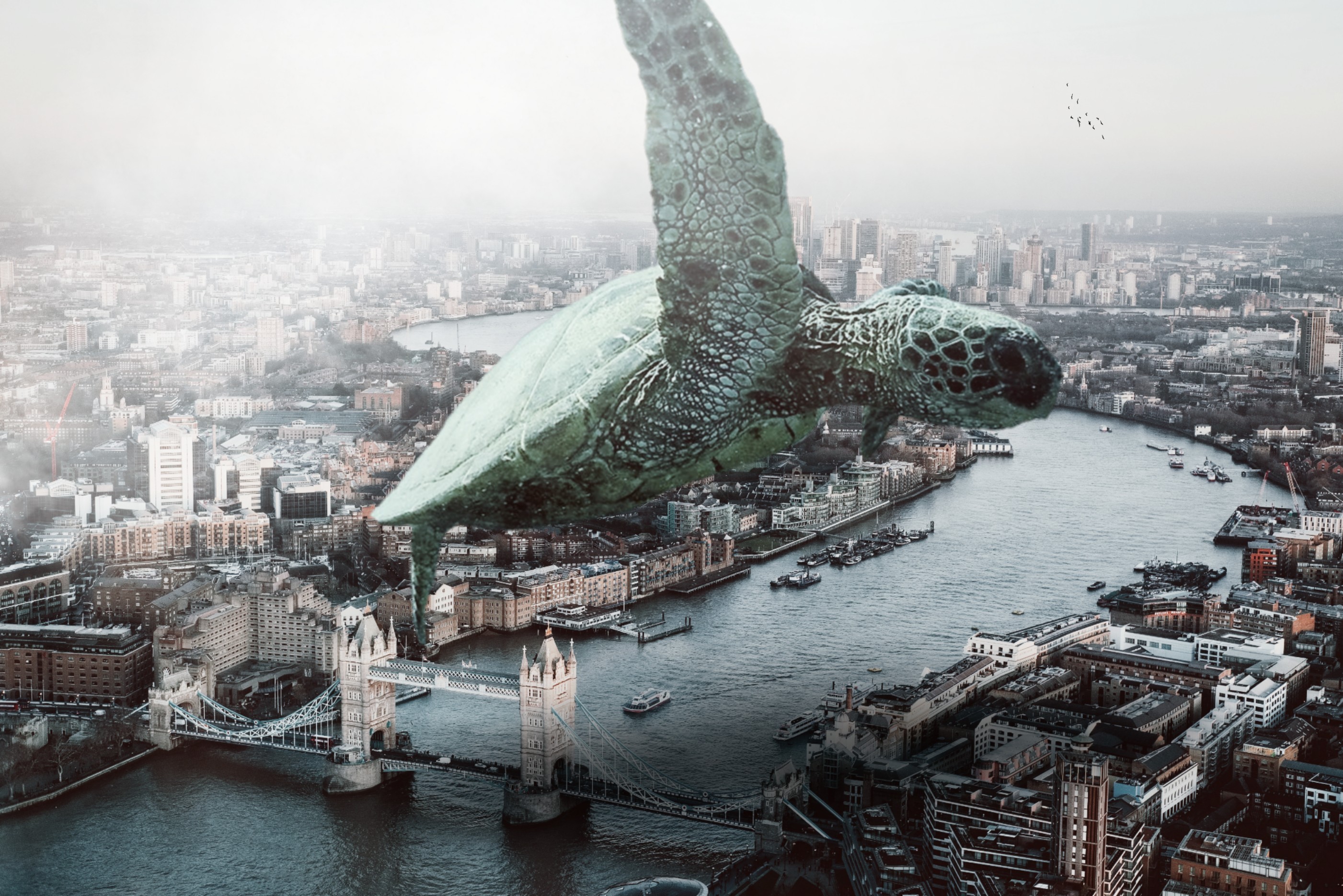 freetoedit turtle city building surreal picsart madewit...