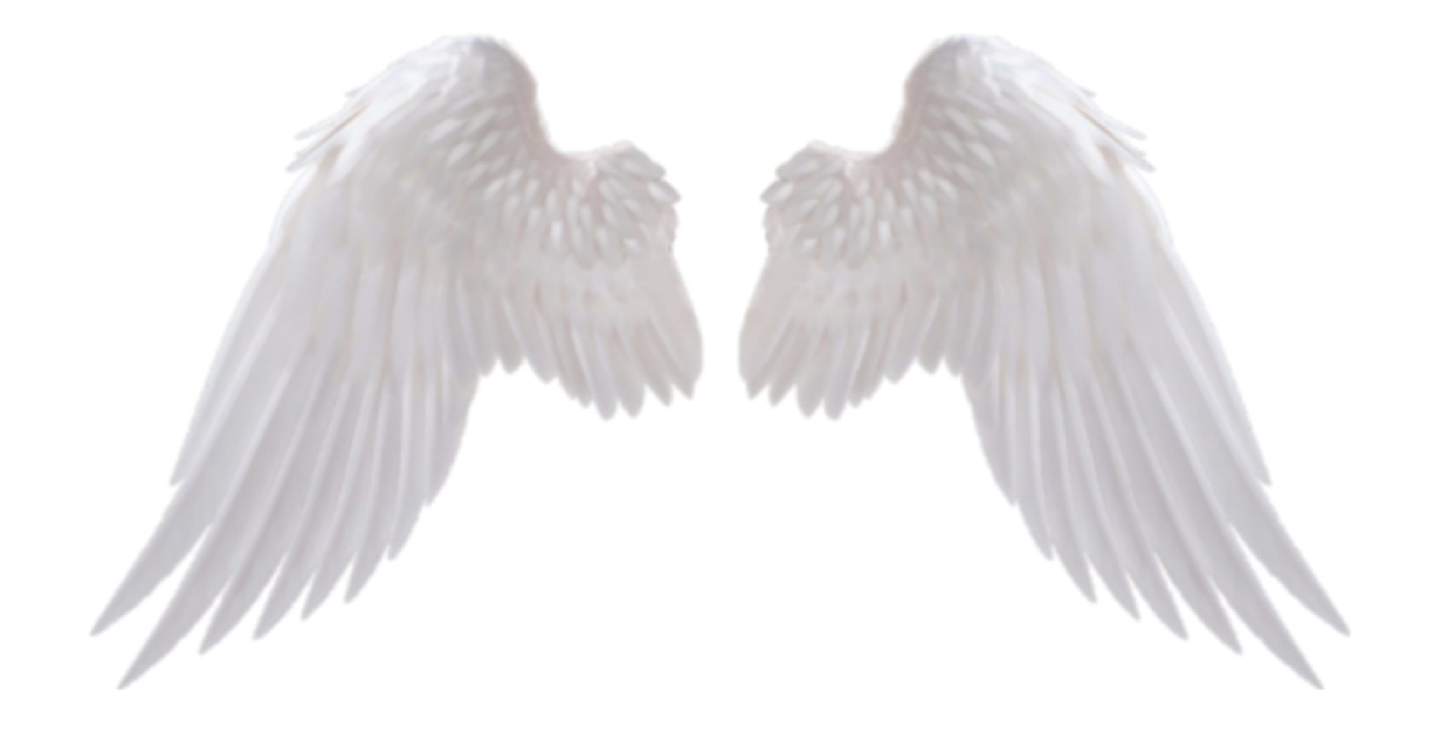 [10000ダウンロード済み√] 天使の翼画像 204260