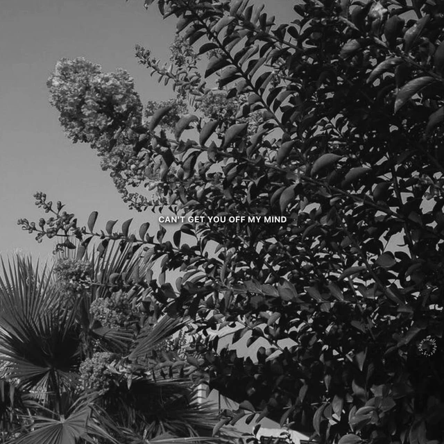 Darkaesthetic Aesthetic Cant Image By ʙoʏ Dɪvɪsɪoɴ Darkaesthetic Aesthetic Cant Image By ʙoʏ Dɪvɪsɪoɴ