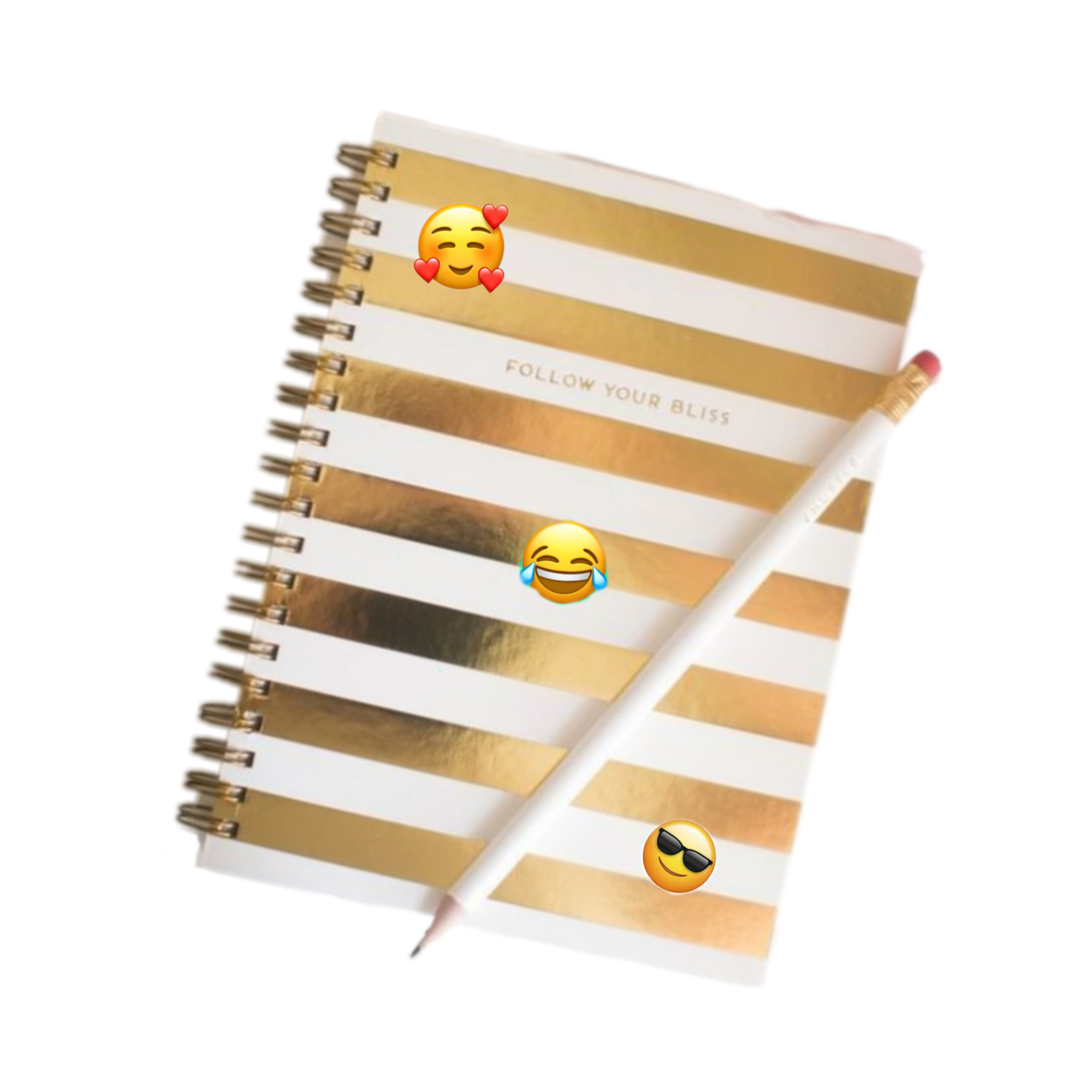 freetoedit scdiary diary sticker by melquii_