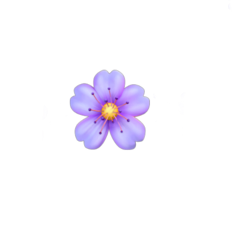 flower purple soft purpleflower freetoedit