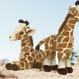 freetoedit giraffes