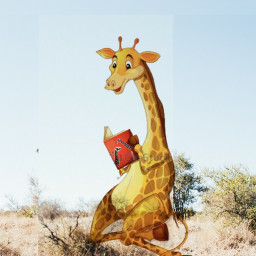 freetoedit ircgiraffes giraffes