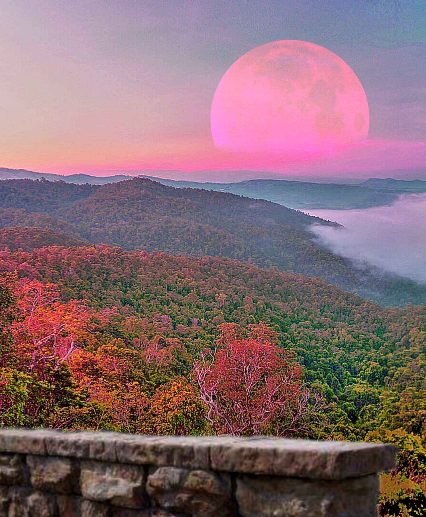 freetoedit myedit madewithpicsart