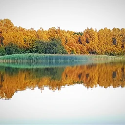 freetoedit pcminimalism minimalism lake reflections