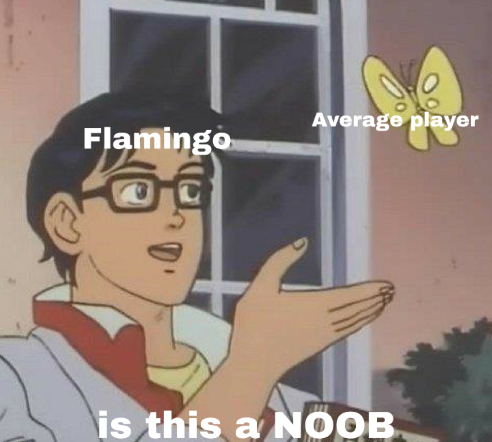 Freetoedit Memes Flamingo Image By 𝗧𝗮𝗸𝗲𝗷𝗶