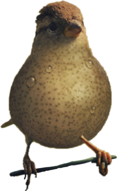 freetoedit pear