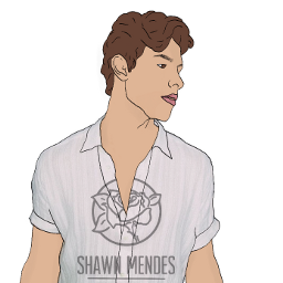 freetoedit outline tumblr shawnmendes icon