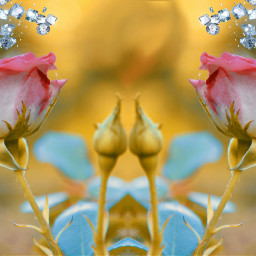 freetoedit mirroreffect espejo flor flower