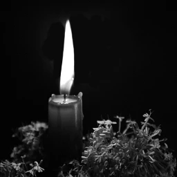 freetoedit myphotography lightpainting candle flowers pcblacknwhite