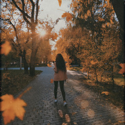 freetoedit осень autumn autumncolors autumnsunset