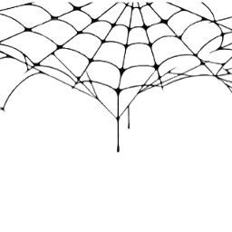 scspiderweb spiderweb halloween spoopy spider freetoedit