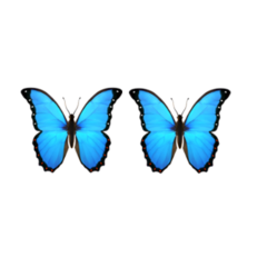 iphoneemoji iphoneemojis butterfly butterflyemoji freetoedit