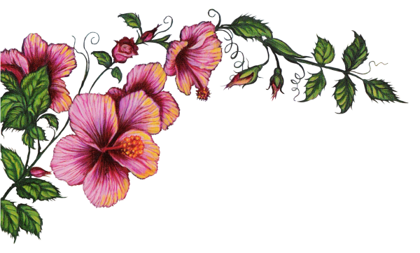 hibiscus corner freetoedit #hibiscus sticker by @salulilbug