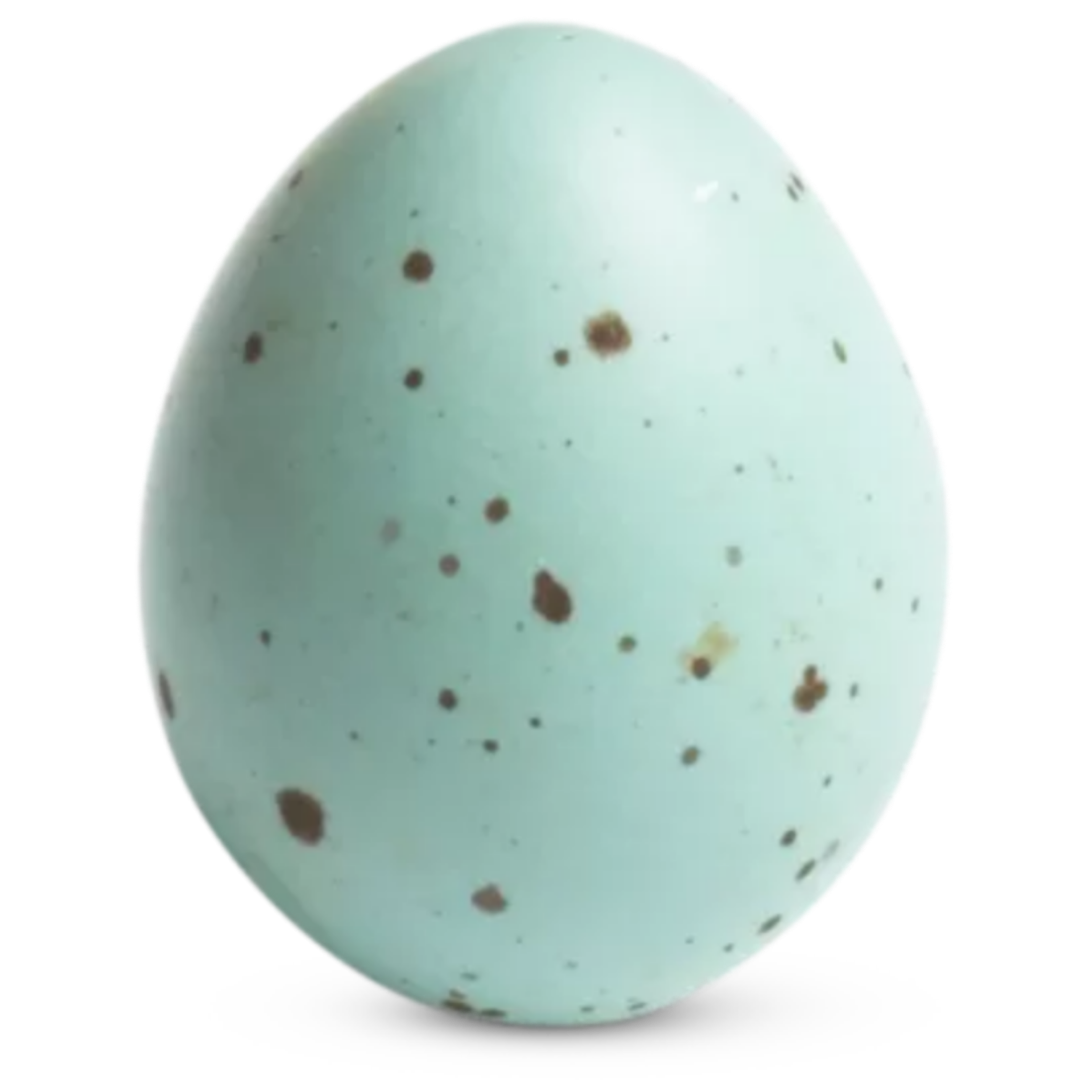 birdegg bird egg nikhil freetoedit sticker by nick_editor