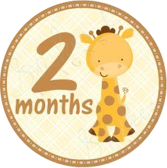 bebe baby month dos freetoedit #bebe sticker by @valeriagg91