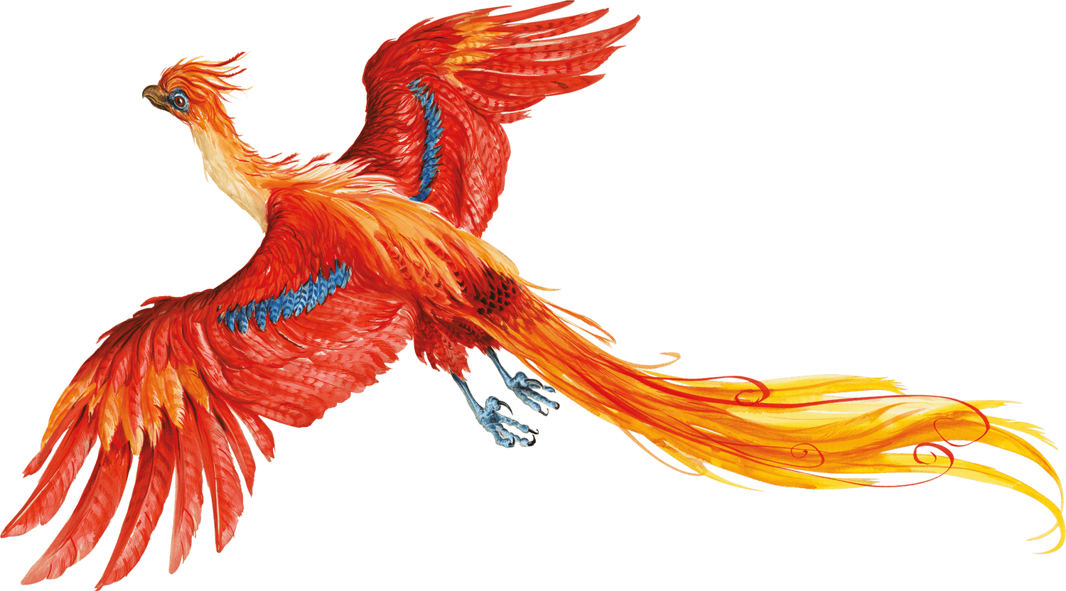 fire fenix freetoedit #fire #fenix sticker by @marlena-83