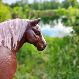 horse schleich realpic repaint lake plants