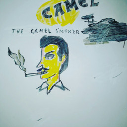 freetoedit camelcigarettes camels camel cameltobacco