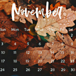 freetoedit autumn tumblr wave girl srcnovembercalendar novembercalendar
