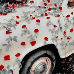 aesthetic car roses flowers antique freetoedit