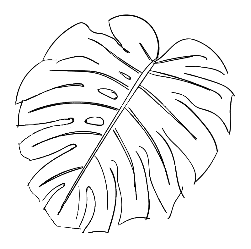 plant monstera leaf freetoedit #plant sticker by @snoozelax