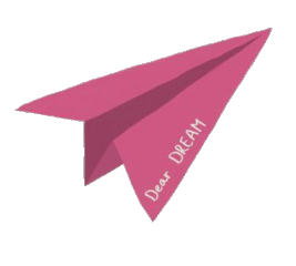 dream pink airplane aesthetic tumblr freetoedit