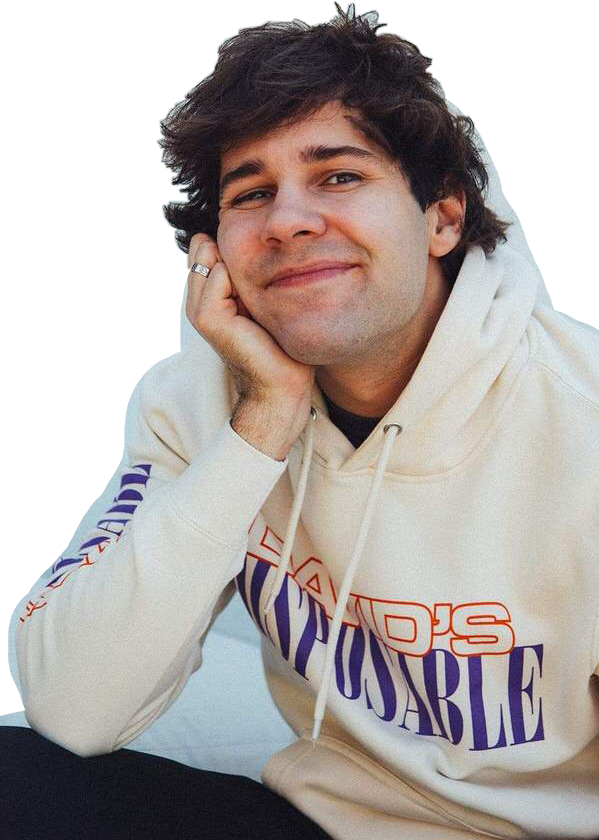 daviddobrik-freetoedit-daviddobrik-sticker-by-all-thefeels