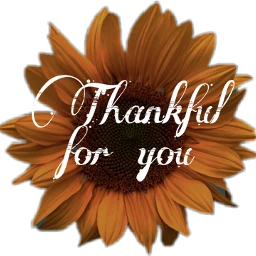 freetoedit scthanks thanks sunflower thankful
