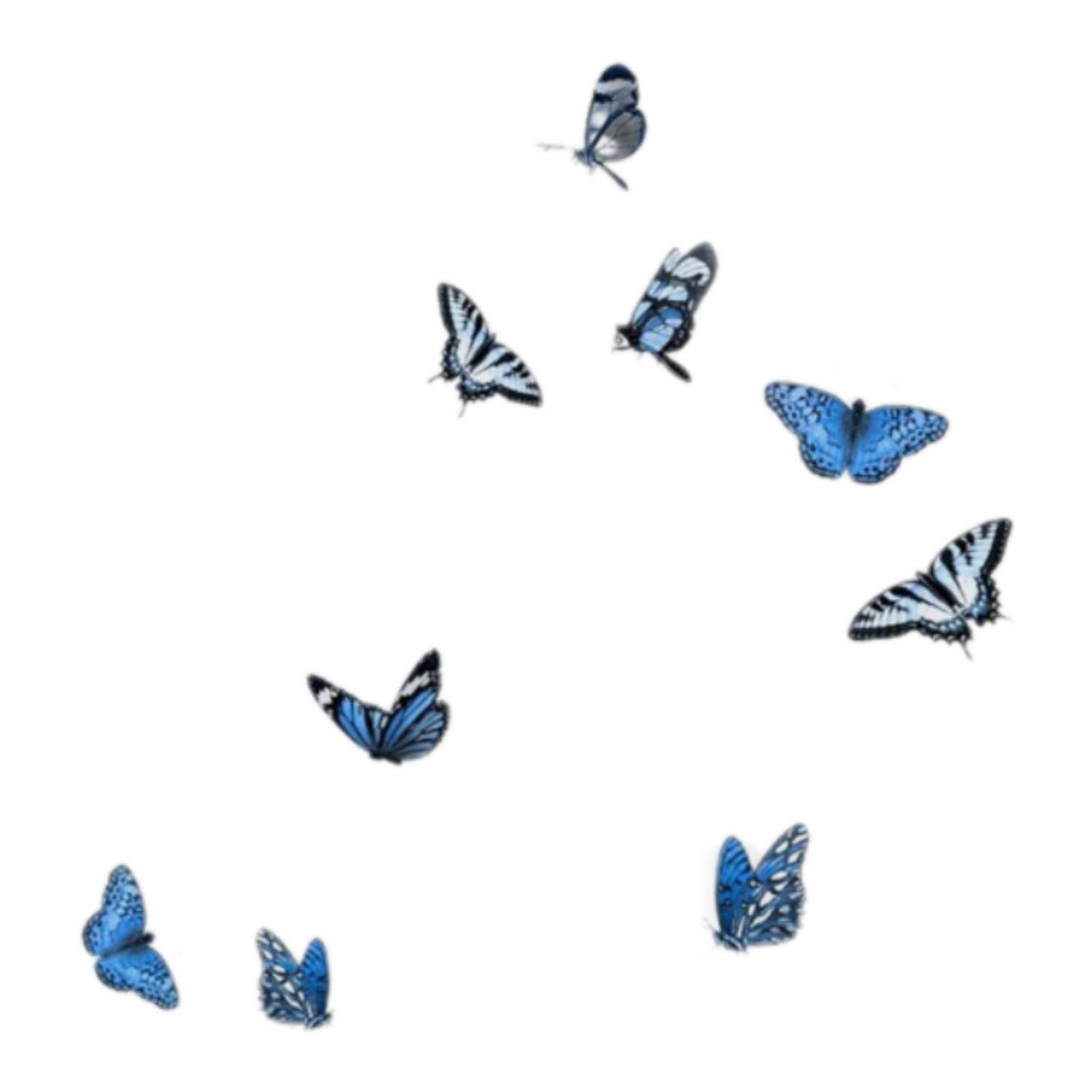 butterflies soft freetoedit 311220226271211 by @mxbrii