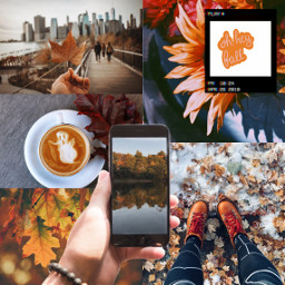 freetoedit ccautumnmoodboard autumnmoodboard moodboard autumn collage
