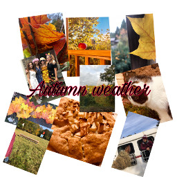 collage autumn ccautumnmoodboard autumnmoodboard moodboard