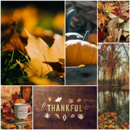autumncollage autumn collagechallange collage fall freetoedit ccautumnmoodboard autumnmoodboard moodboard