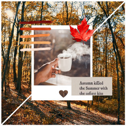 freetoedit autumn fall leaves coffee ccautumnmoodboard autumnmoodboard moodboard collage